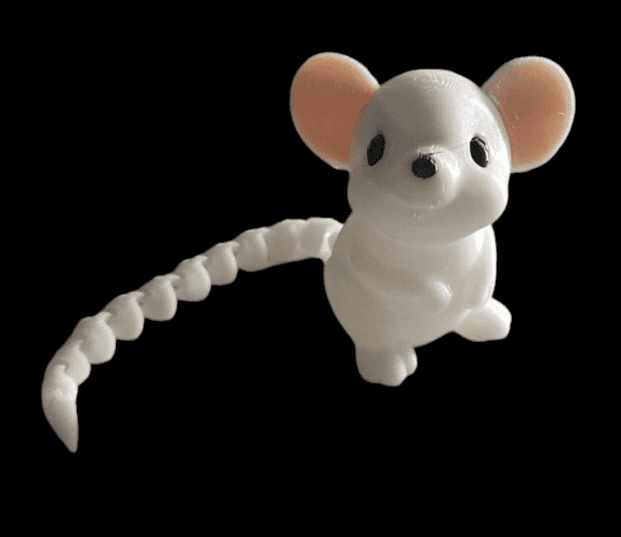 Maus